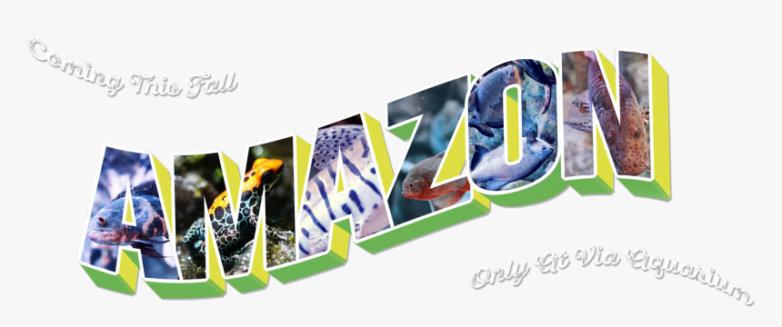 Amazon Rainforest In Calligraphy, HD Png Download