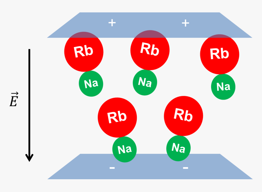 Circle, HD Png Download