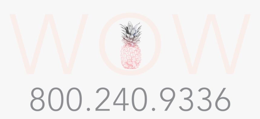 Wow Logo Short New, HD Png Download