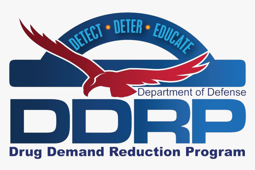 Medieval Times Clothing, HD Png Download