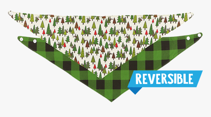 No Peeking - Tulip, HD Png Download