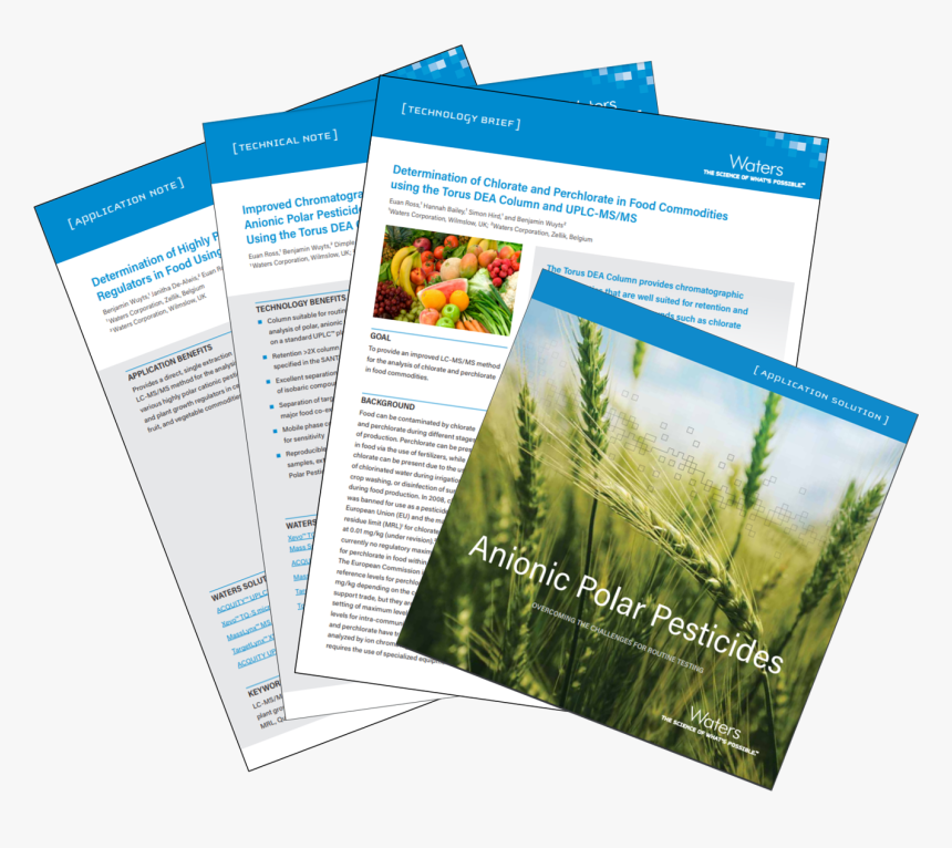 Flyer, HD Png Download