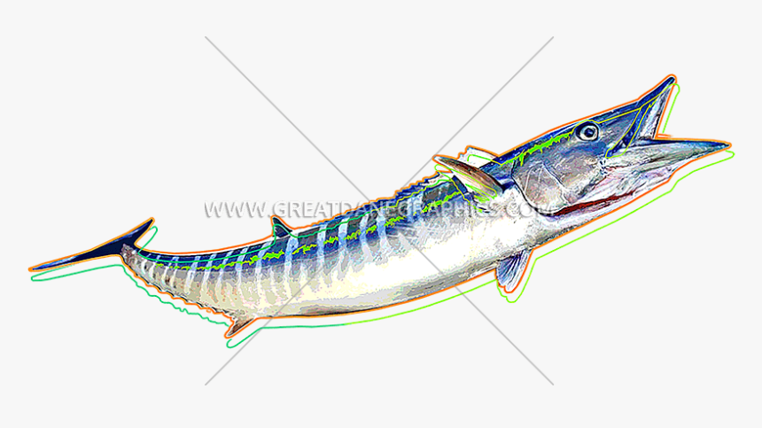 Funky Production Ready Artwork - Ray-finned Fish, HD Png Download