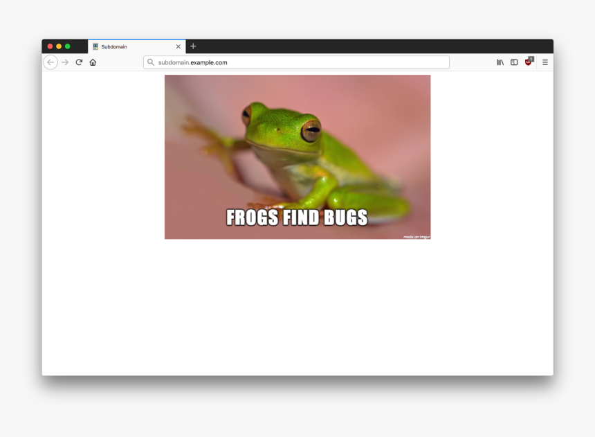 True Frog, HD Png Download