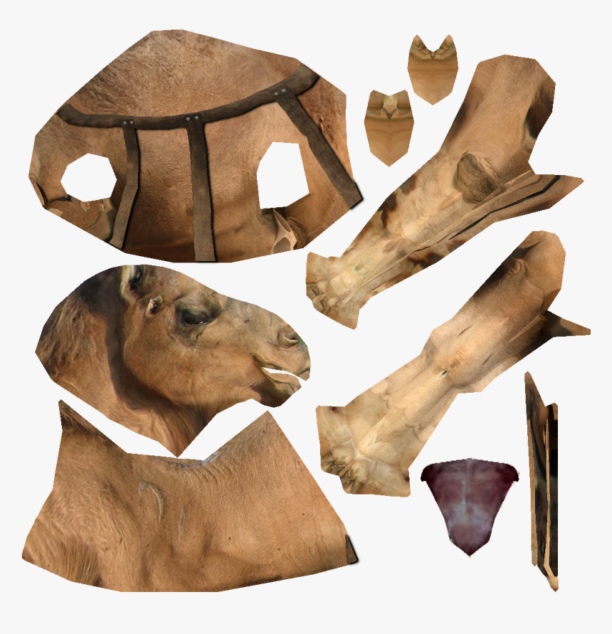 Snout, HD Png Download