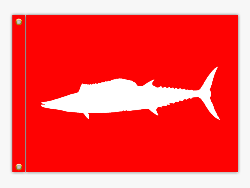 Wahoo Png, Transparent Png