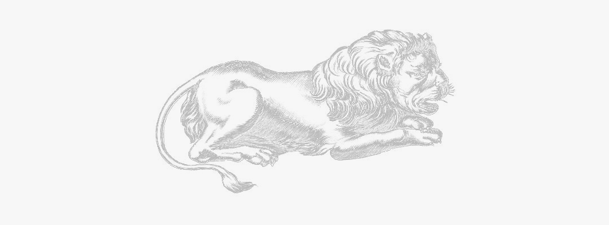 Sketch, HD Png Download