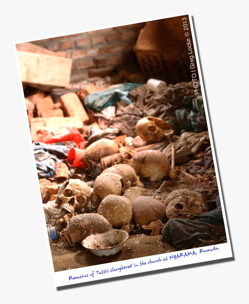 Nyarama1 - Cockle, HD Png Download