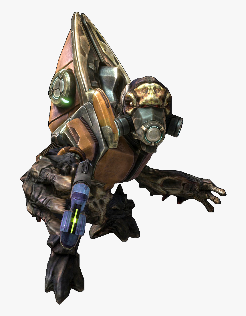 Halo Alpha - Covenant Halo, HD Png Download