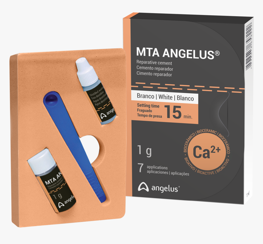 Mta Fil Angelus, HD Png Download