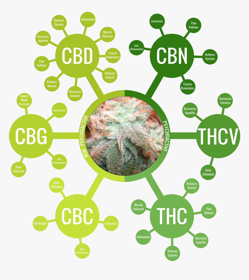 Alternatives For A Public Health Crisis And Minor Pains - Full Spectrum Cbd Isolate, HD Png Download