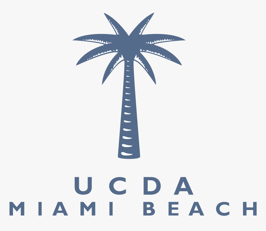 Attalea Speciosa, HD Png Download