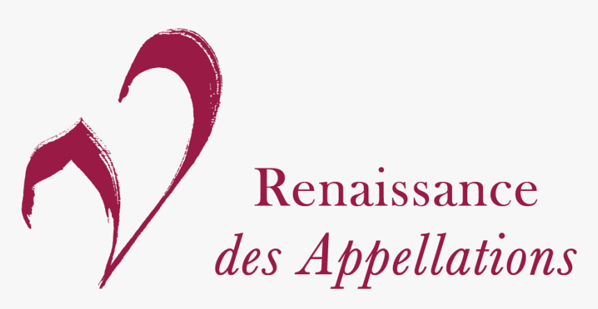 Qatar Foundation, HD Png Download