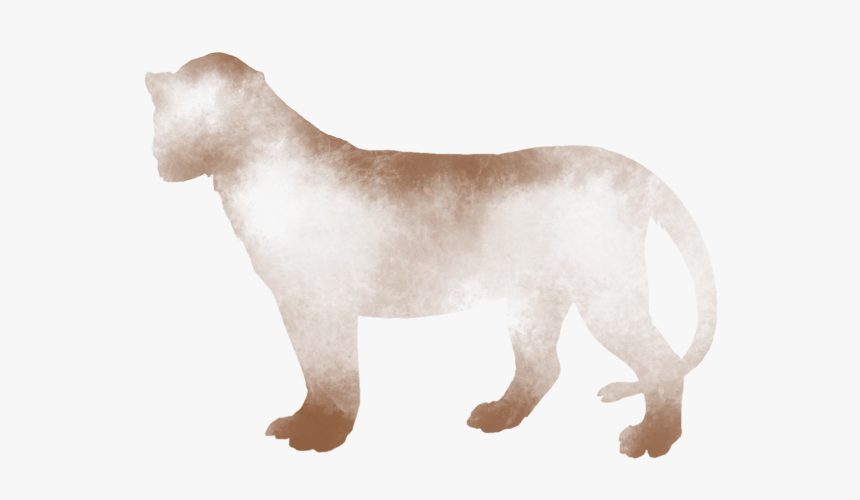 Cougar, HD Png Download