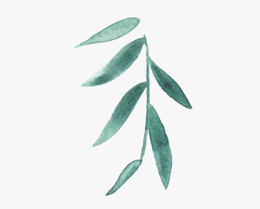 Green Minimal Leaf Png, Transparent Png