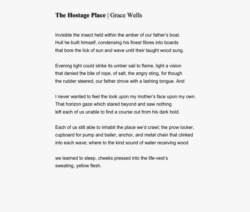 Document, HD Png Download