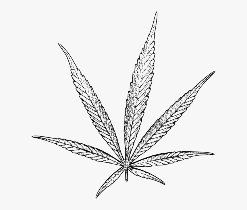 Drawn Cannabis Stoned - Cannabis Drawing Png, Transparent Png