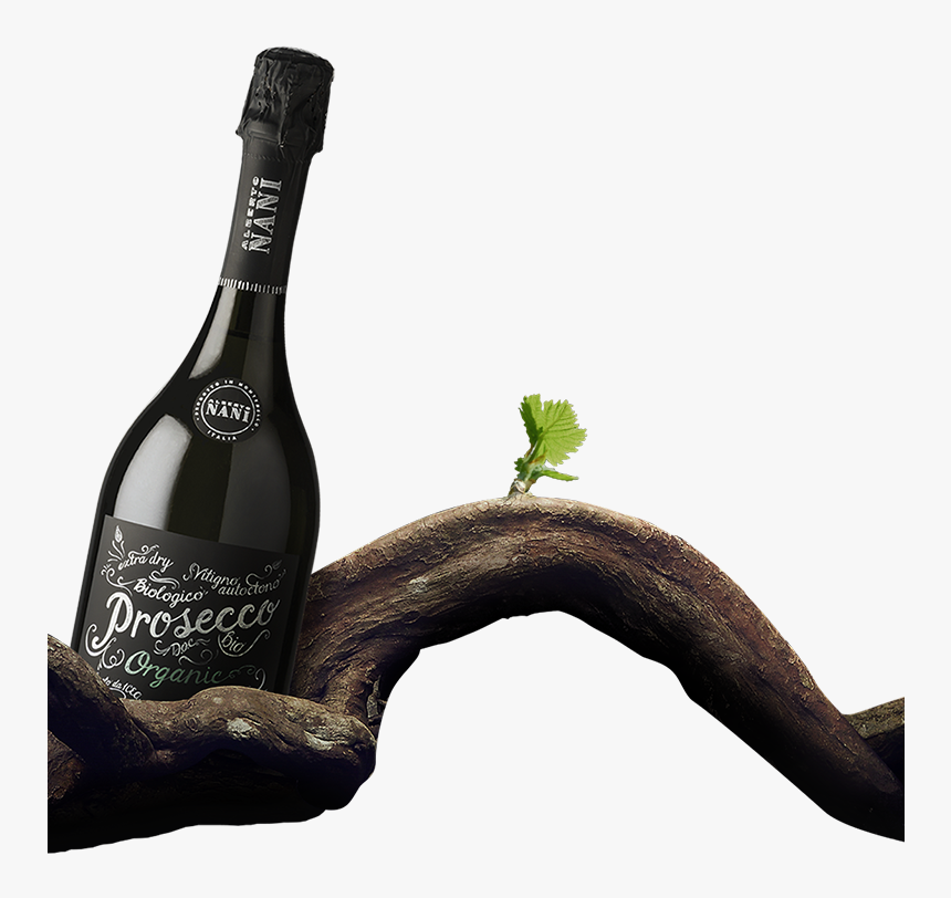 Nani Png , Png Download - Champagne, Transparent Png