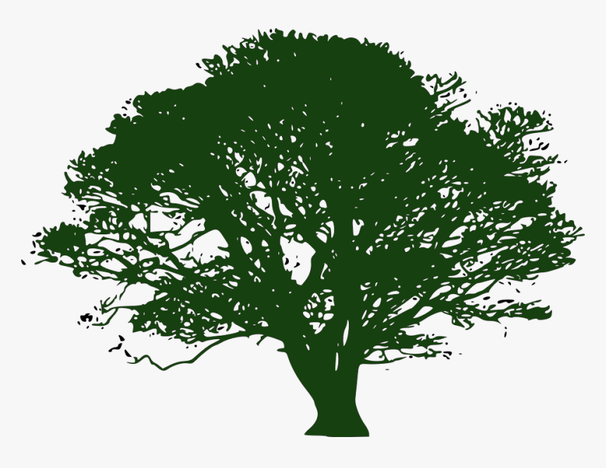 About Helga , Png Download - Oak Tree Silhouette, Transparent Png