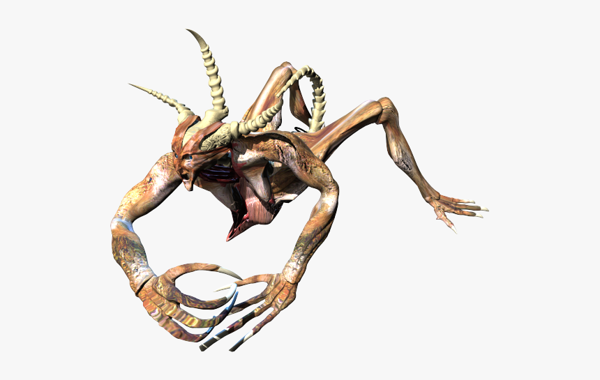 Diablo 2 Monster Art, HD Png Download