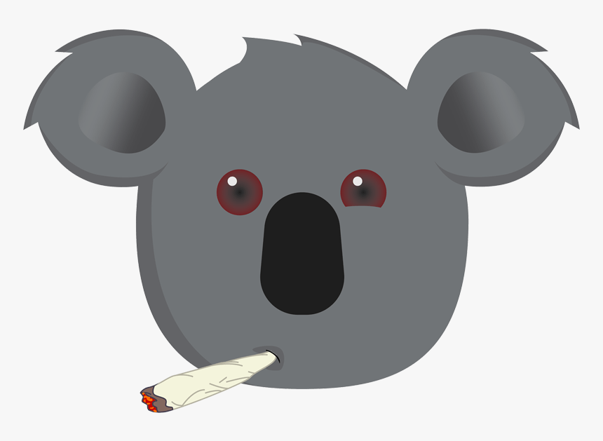 Koala, HD Png Download