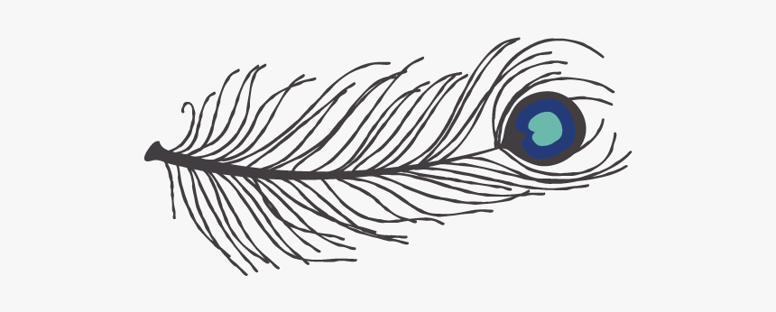 Elise Feather4-01 - Sketch, HD Png Download