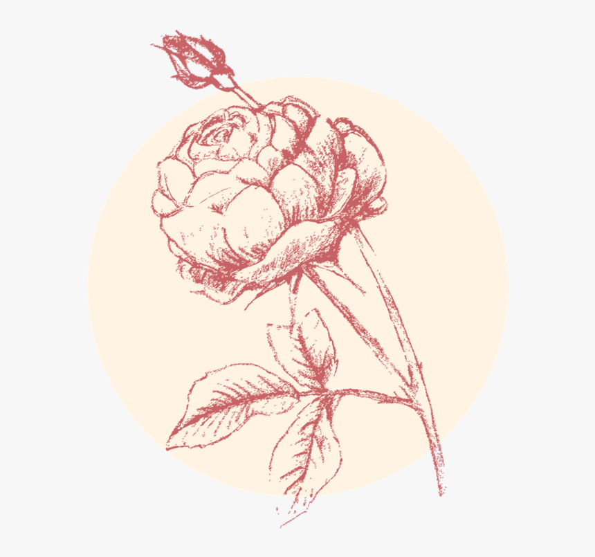 Untitled Design-2 - Illustration, HD Png Download