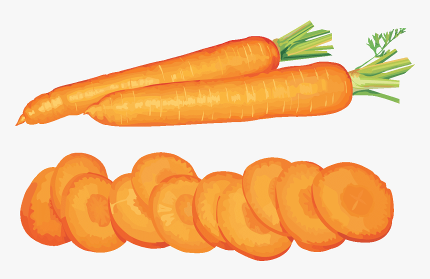 Vegetables Clipart Baby - Vegetables Slices Cartoon, HD Png Download