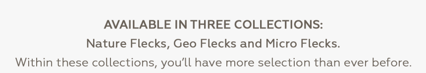 Orange, HD Png Download