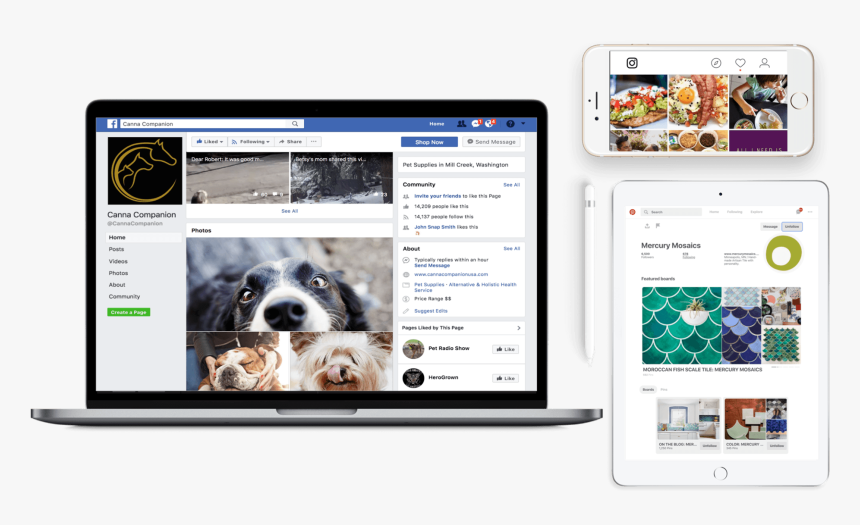 Dog, HD Png Download