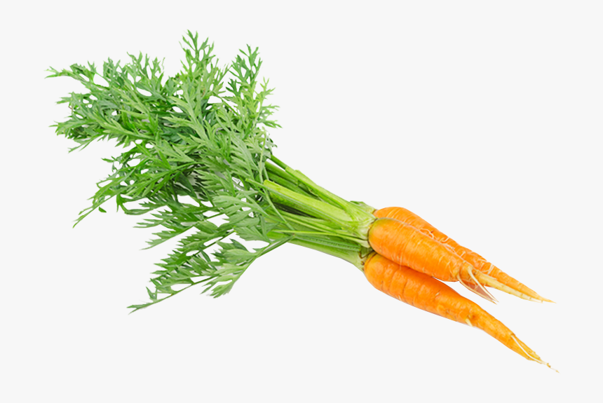 Carrot, HD Png Download