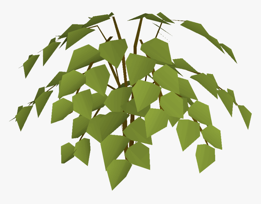 Old School Runescape Wiki - Tree, HD Png Download