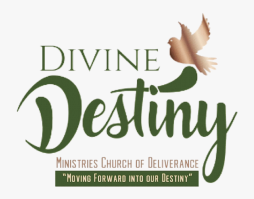 Pigeons And Doves, HD Png Download