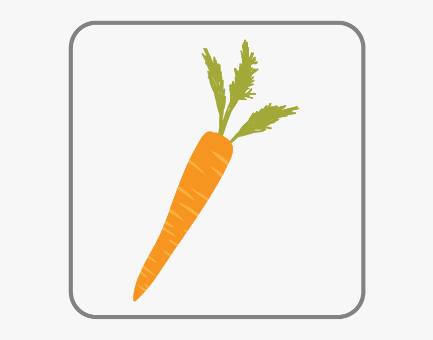 Baby Carrot Png, Transparent Png