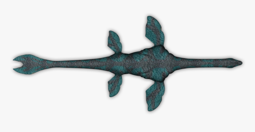 Squaliformes, HD Png Download