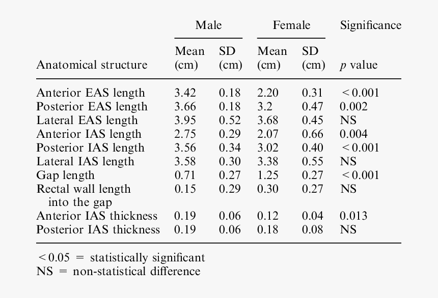 Male And Female Anus Differences, HD Png Download