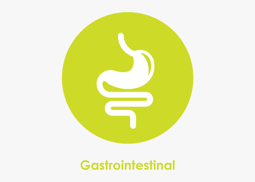 Circle, HD Png Download