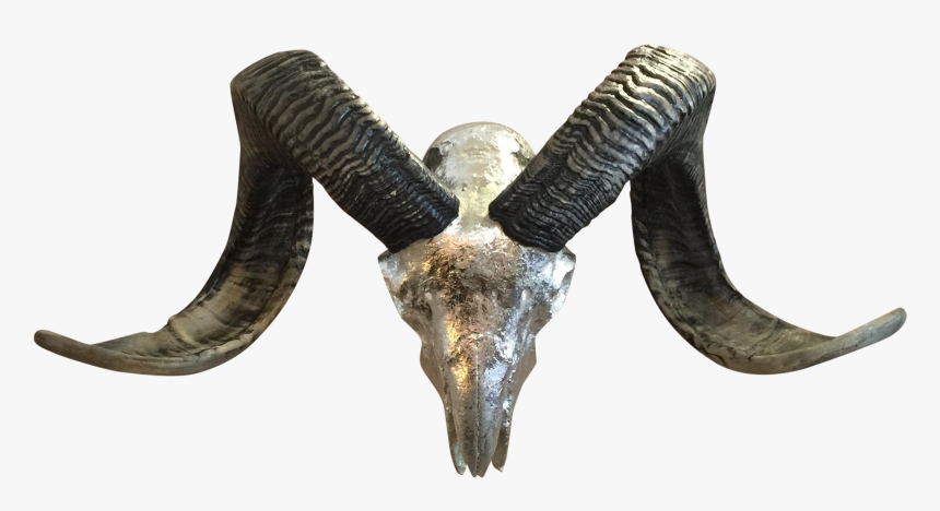 Skull, HD Png Download