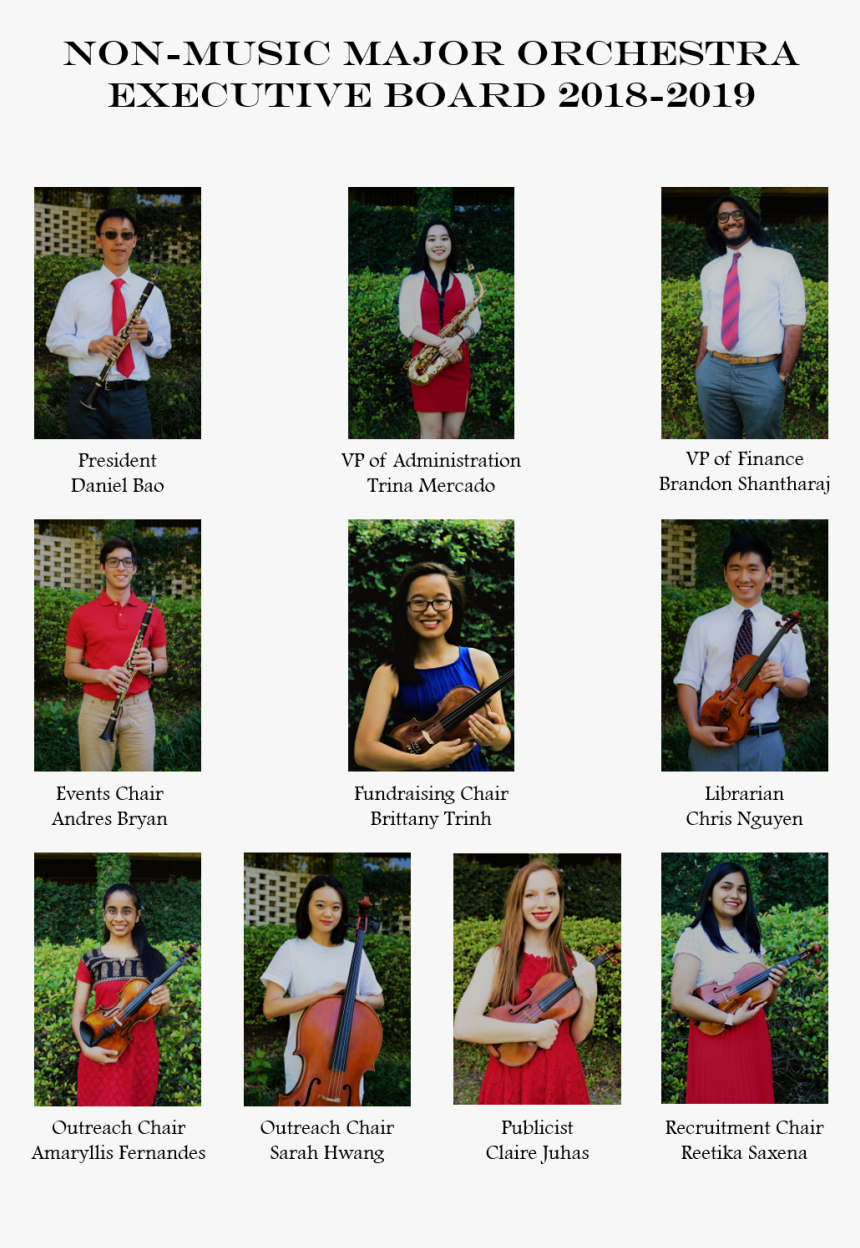 Nmo Executive Board - Leisure, HD Png Download