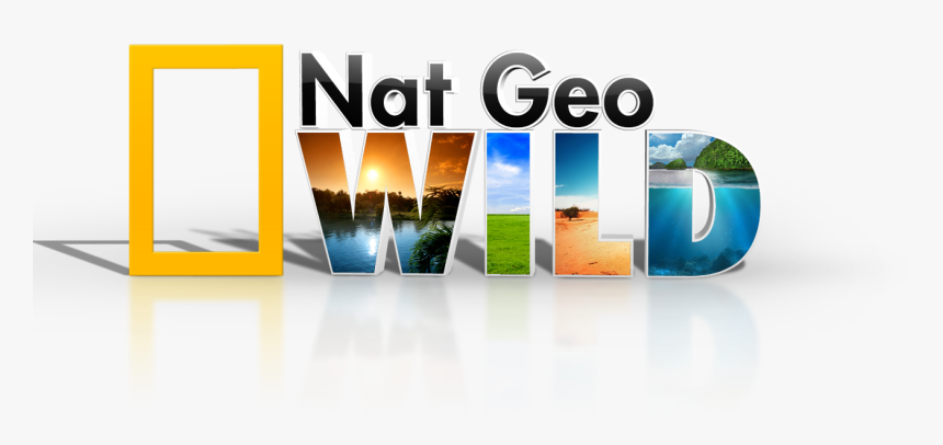 Graphic Design, HD Png Download