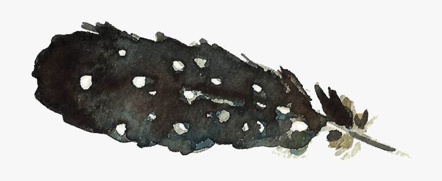 Spicebush Swallowtail, HD Png Download