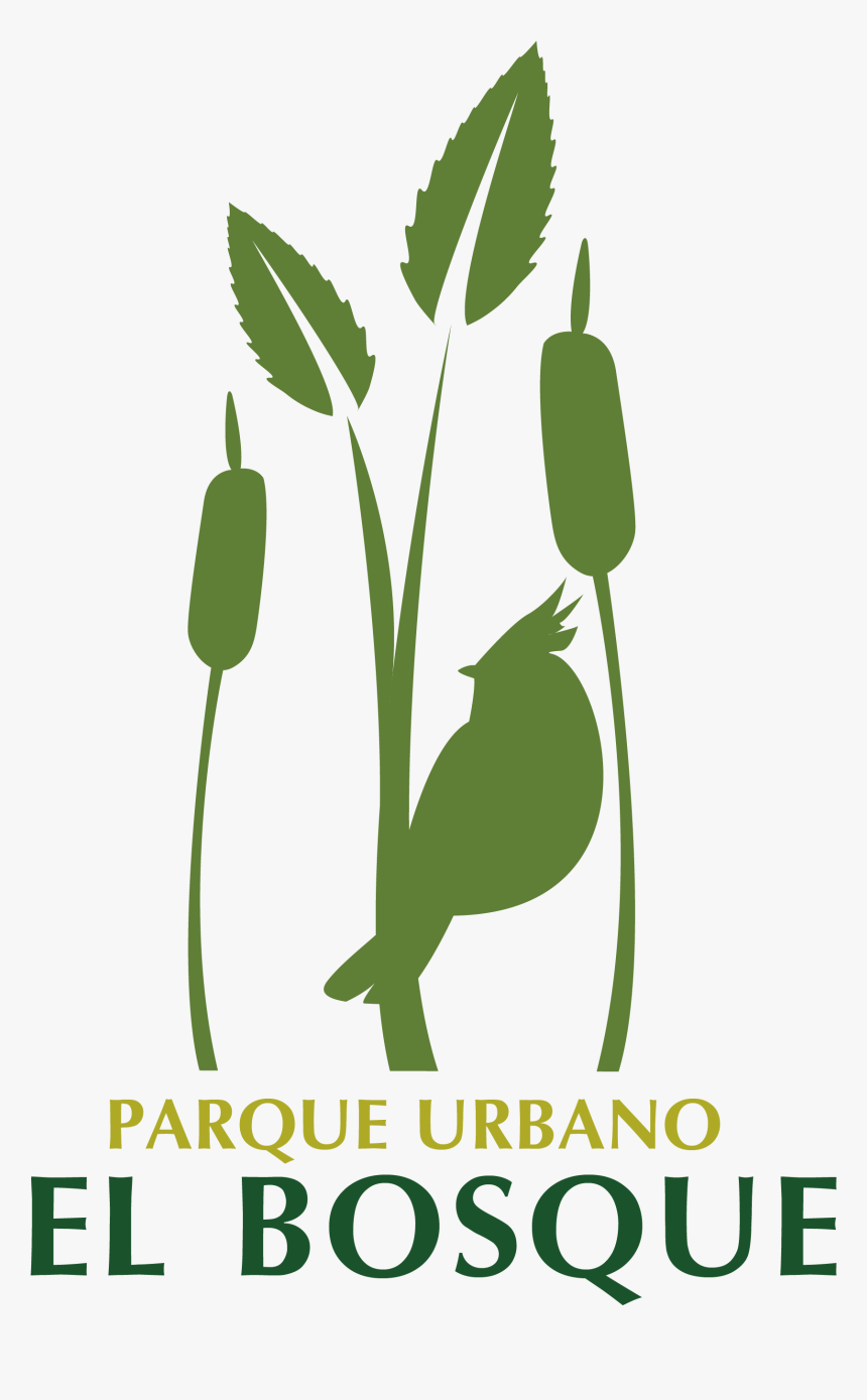 Bosque Png , Png Download - Illustration, Transparent Png