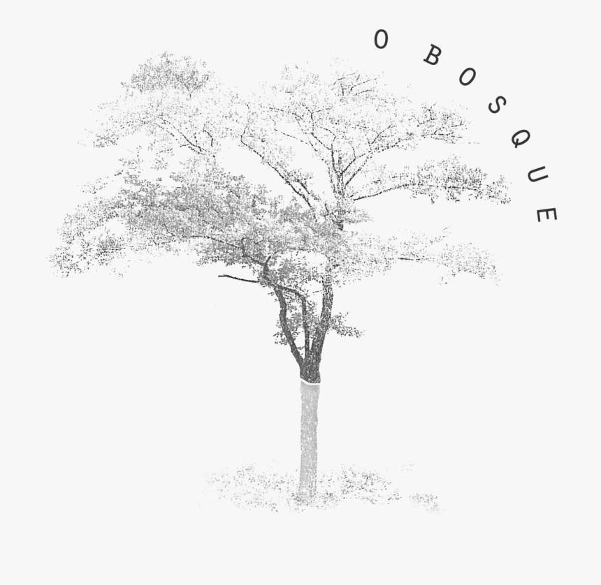 O Bosque 04, HD Png Download