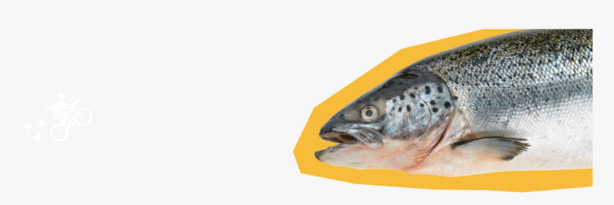 Billfish, HD Png Download