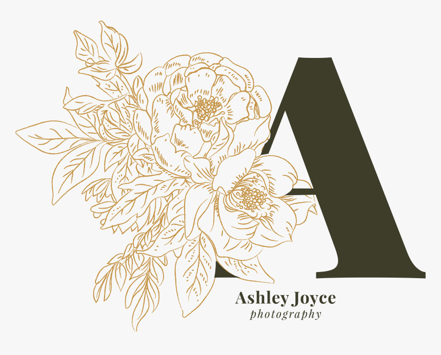 Garden Roses, HD Png Download