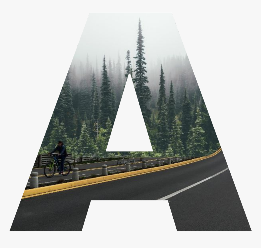 #a #road #camino #bosque #forest #letter #letra - Evergreens In The Wild, HD Png Download