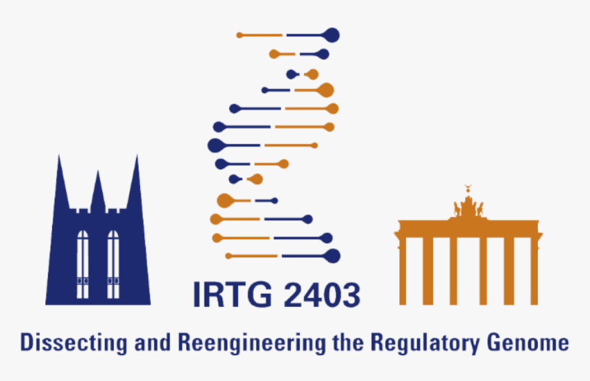 Clip Art, HD Png Download