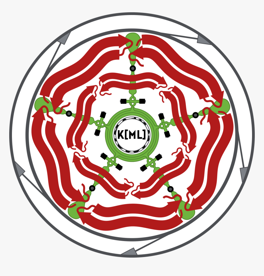 Circle, HD Png Download