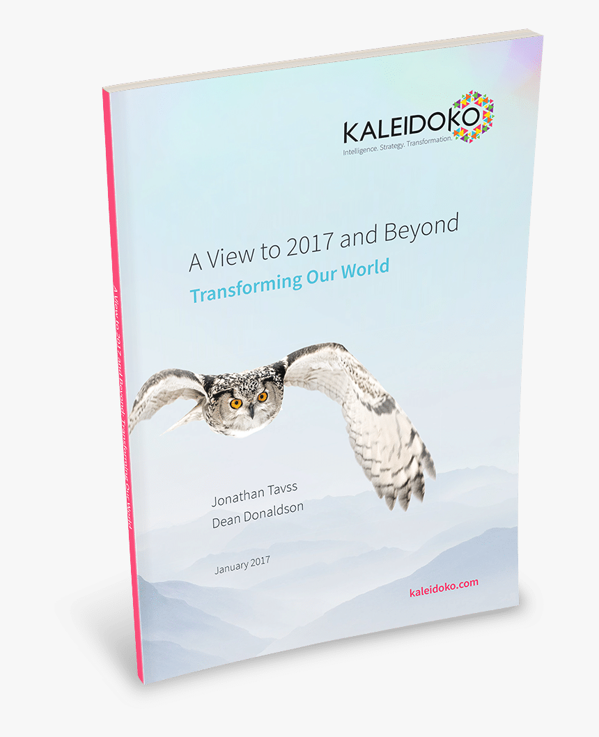 A View To 2017 And Beyond Cover - Accipitriformes, HD Png Download