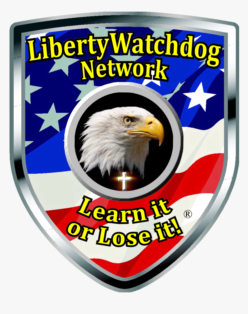 Bald Eagle, HD Png Download